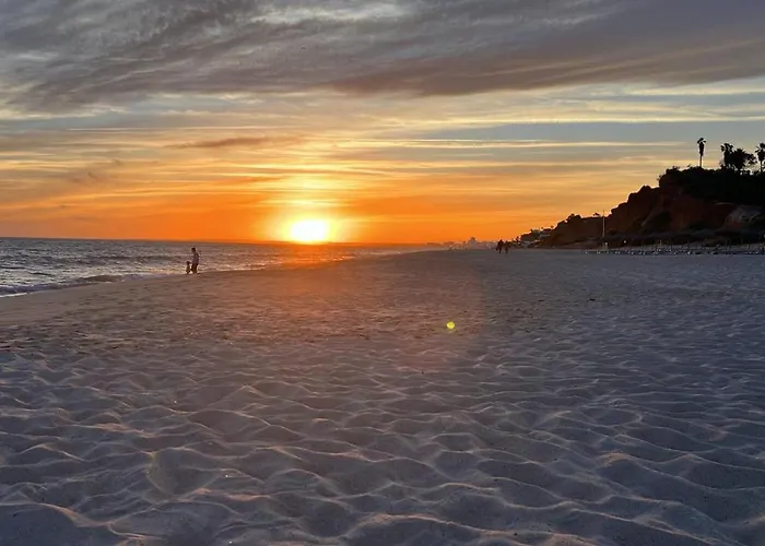 Nest Algarve Edition *